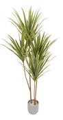 Artificial Dracaena Tree 120cm - Green