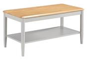 Altona Stone Grey Painted Coffee Table image