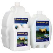 Tramazole 10% image