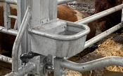 Compact Drinker Galvanised / Stainless Steel image