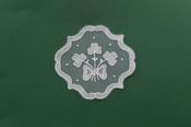 Small Bow &amp;amp; Shamrocks