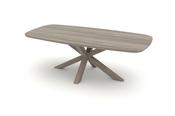 Hillsdale Ash Star Leg Table 3cm plate 220x105cm image