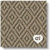 Anywhere Carpet Re-imagine image