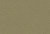 Echo Core Carpet Mossdale