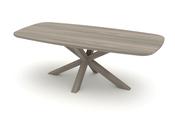 Hillsdale Ash Star Leg Table 4cm plate 220x105cm - DINING image