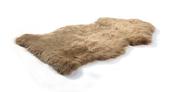 Longwool Single Rug Paco - 60X105 image