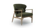Savina Chair Green - ARMCHAIR image