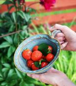 Berry Bowl image
