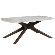 Alya Coffee Table image