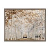 Framed Print Avenue Of Trees 120 X 90Cm