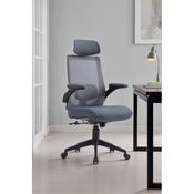 Zuri Ergonomic Office Chair Grey image