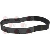 BELT POLY V 1613 L635 16N