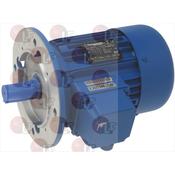 MOTORE AGITATORE CARPANELLI M80C4AM B5 image