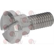 VITE INOX SAGOMATA M5x10 image