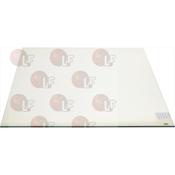GLASS INTERNAL OVEN DOOR 767x633 mm image