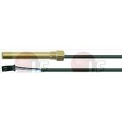 TEMPERATURE PROBE