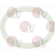 GUARNIZIONE PIANA PTFE ø 19x16x1,5 mm