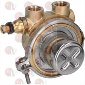 ROTARY VANE PUMP ROTOFLOW ø 3/8" GAS