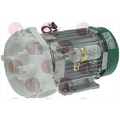 ELECTROPUMP OP T.15 1.50HP image