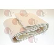 FASCIA