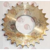 PIGNONE image