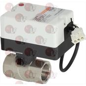 BOILER MOTOR DRAIN VALVE