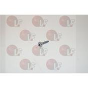 VITE AUTOF 2.5x10 TRILOB. ZINC.