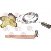 THERMOSTATIC VALVE DANFOSS TS2 image