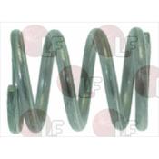 SPRING ø 12x15 mm FOR STEAM PIPE image