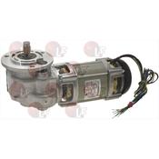 GEARMOTOR WK1781902 0.020Kw image