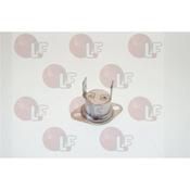 THERMOSTAT DE SECURITE 200° image