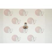 UGELLO diam 0,6MM NF