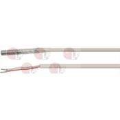 PROBE PT1000 SILICONE 2000 mm image