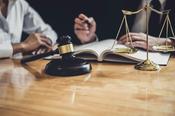 Employment Law Consultation