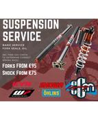 Bronze Rear Suspension Service