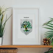 Duignan Family Crest image