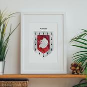 Crilly Family Crest