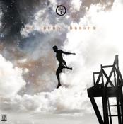 CELTIC NOTE — Side 4 Collective - We Burn Bright [Vinyl] image
