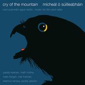 CELTIC NOTE — Mícheál Ó Súilleabháin - Cry Of The Mountain image