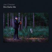CELTIC NOTE — Joe Chester - She Darks Me image
