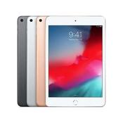 iPad Mini 5 Screen Repair - White