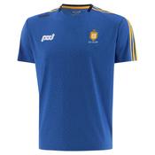 O'Neills Clare GAA Hydra T-Shirt Royal Amber - Royal Amber / S image