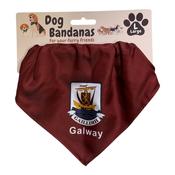 Dog Bandana Galway - Maroon / Large