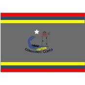 TCF Western Gaels GAA 5x3 Flag - Grey Multi / 5X3 image