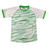 CS Teamwear Kilrush Ladies Training - Age 7-8 / White Green