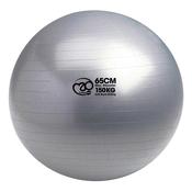 Fitness Mad 150kg Anti-Burst Swiss Ball - Graphite Grey / 75cm image