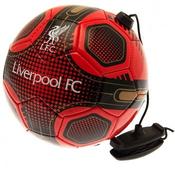 Hy-Pro Liverpool Team Skills Trainer - Size 2 / Red Gold image