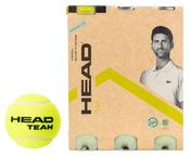 Head Team Tennis Ball Multi Pack - 12 pack / Yellow image