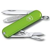 Victorinox Classic SD Green - Green image