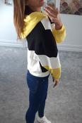 Gemma Colour Block Hoodie image